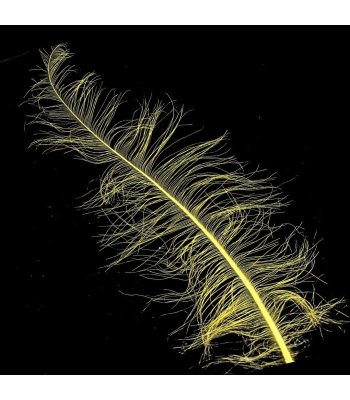 PLUMES D'AUTRUCHE BRÛLÉES - 58 CM