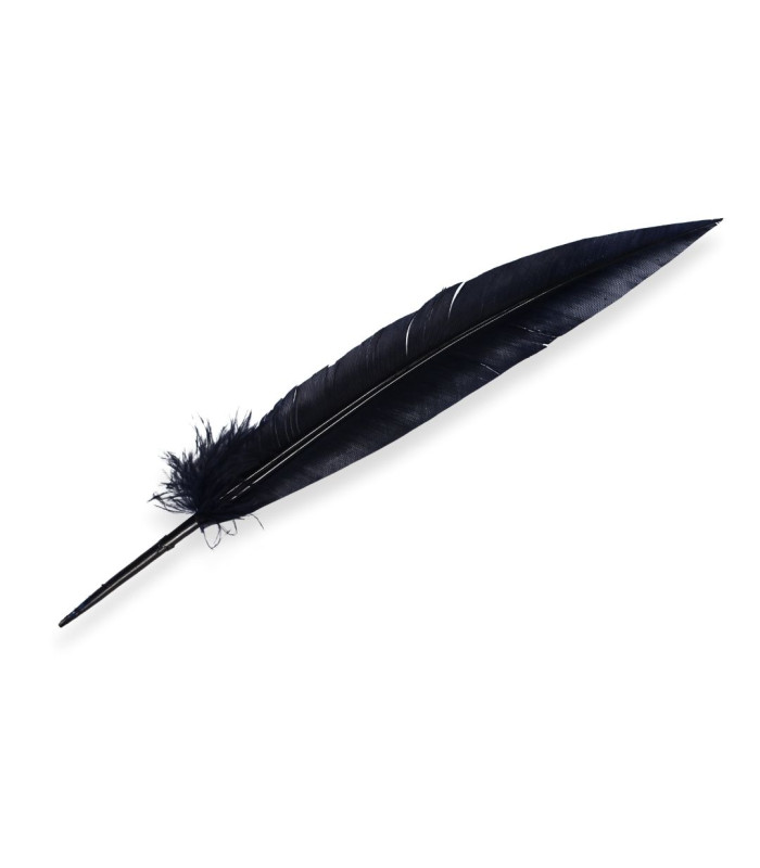 PLUME DE PAON 32 CM