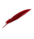 PLUME DE PAON 32 CM