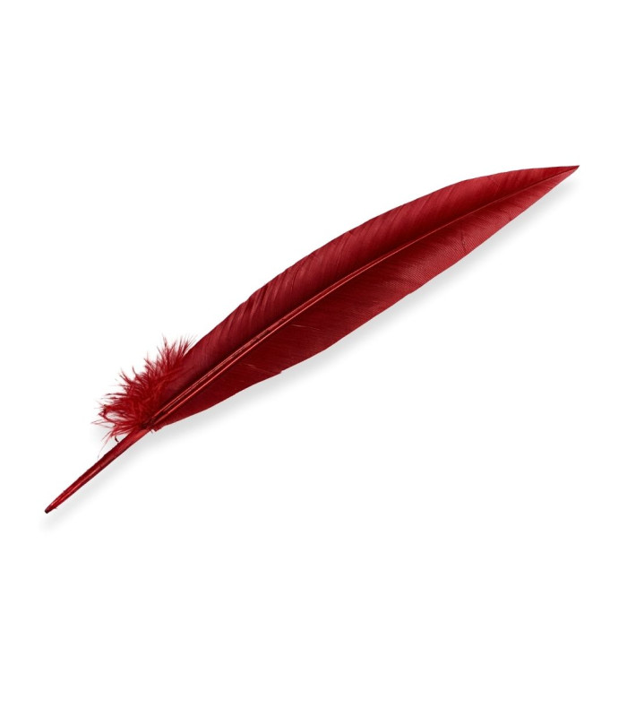 PLUME DE PAON 32 CM