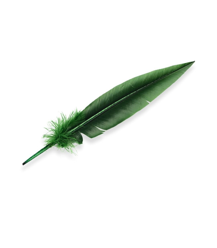 PLUME DE PAON 32 CM