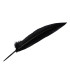 PLUME DE PAON 32 CM