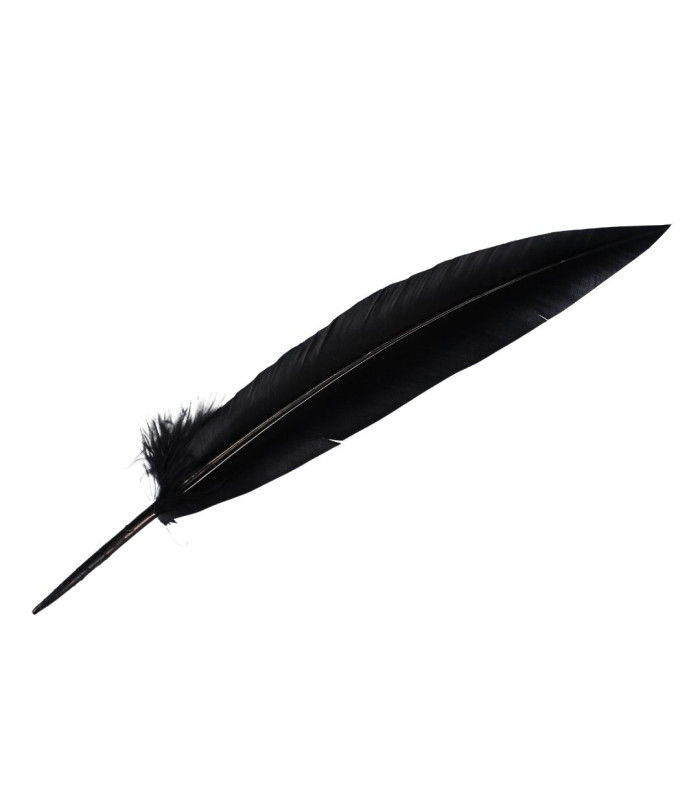 PLUME DE PAON 32 CM