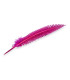 PLUME DE PAON 34 CM