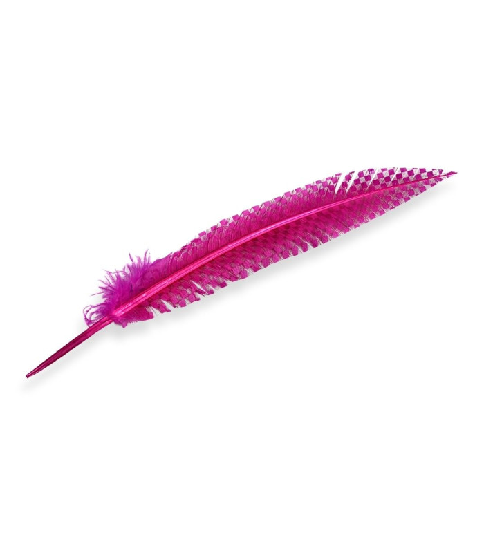 PLUME DE PAON 34 CM