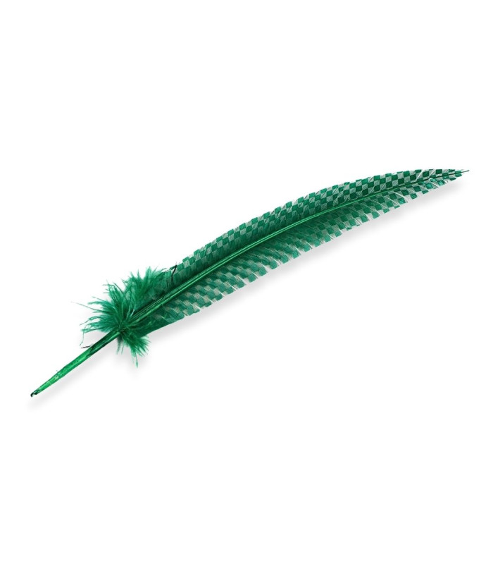 PLUME DE PAON 34 CM