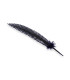 PLUME DE PAON 34 CM