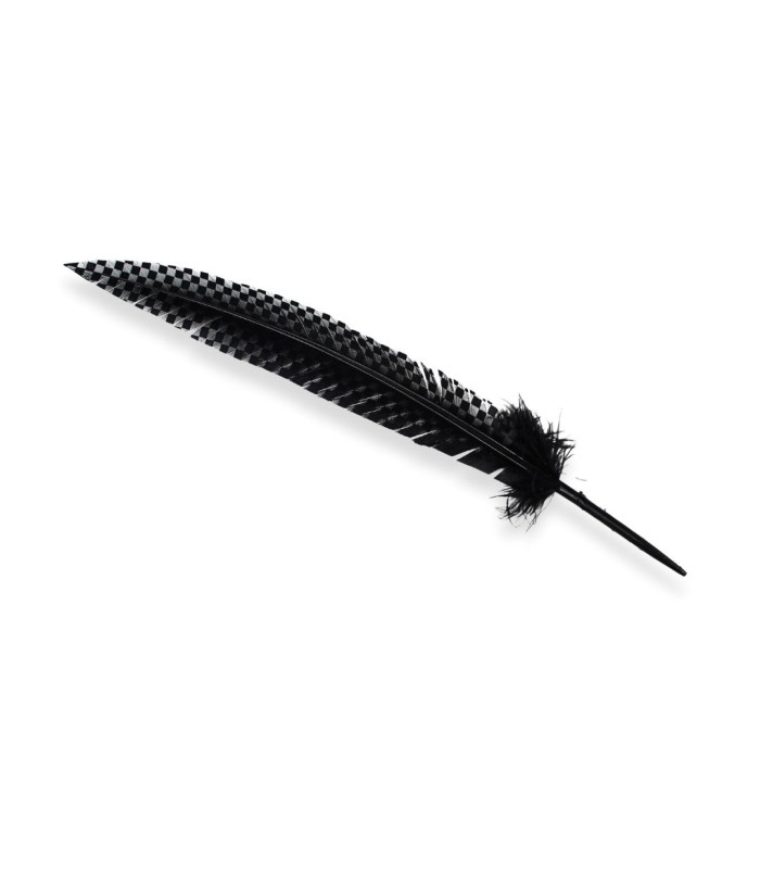 PLUME DE PAON 34 CM