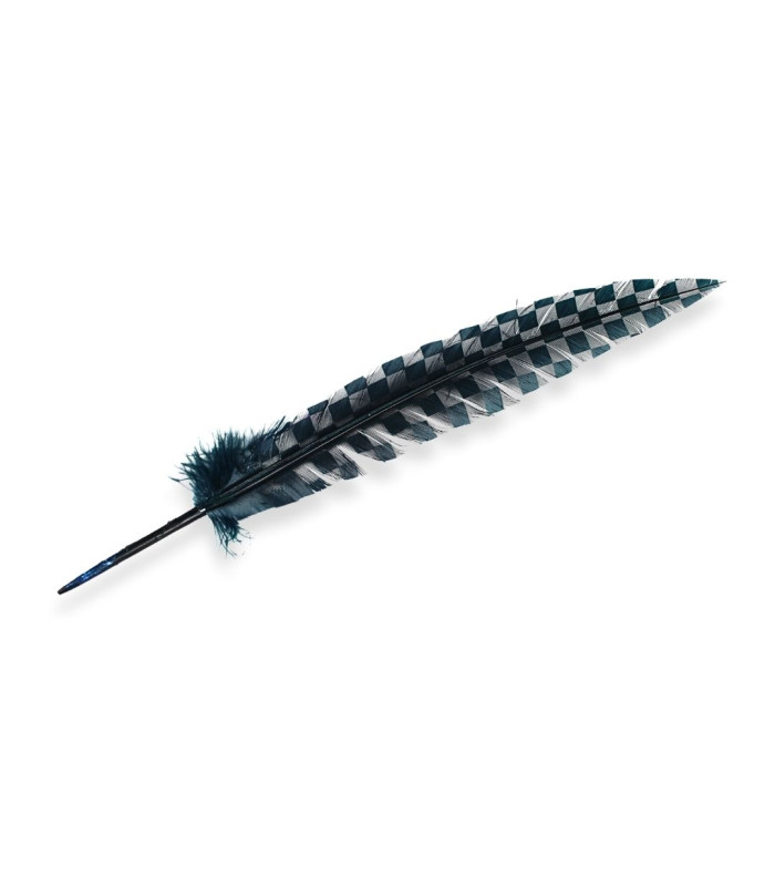 PLUME DE PAON 33 CM
