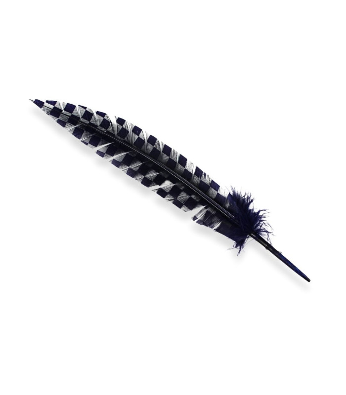 PLUME DE PAON 33 CM
