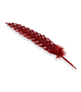 PLUME DE PAON 33 CM
