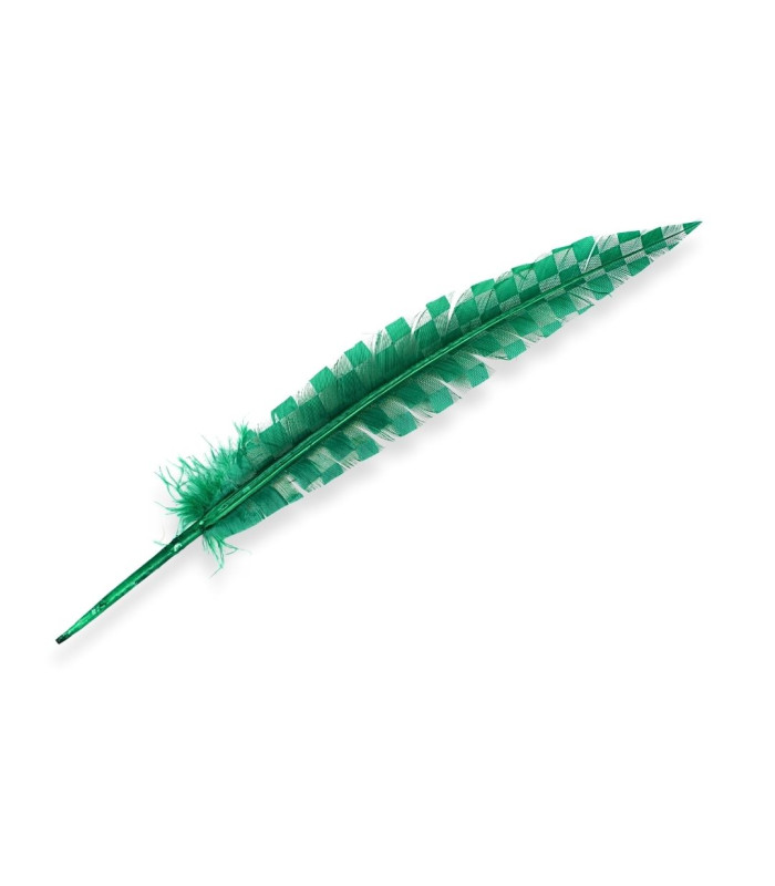 PLUME DE PAON 33 CM