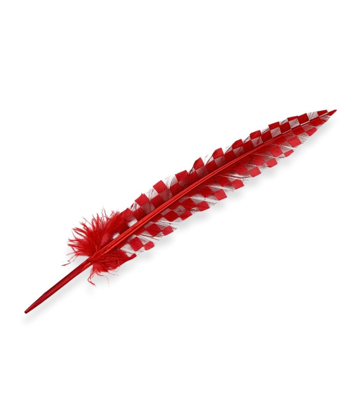 PLUME DE PAON 33 CM