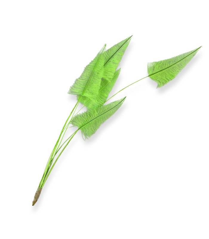 PLUMES D'AUTRUCHE 37 CM
