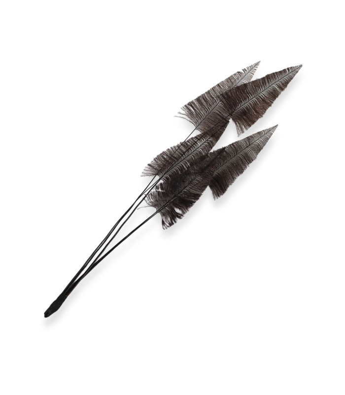 PLUMES D'AUTRUCHE 37 CM