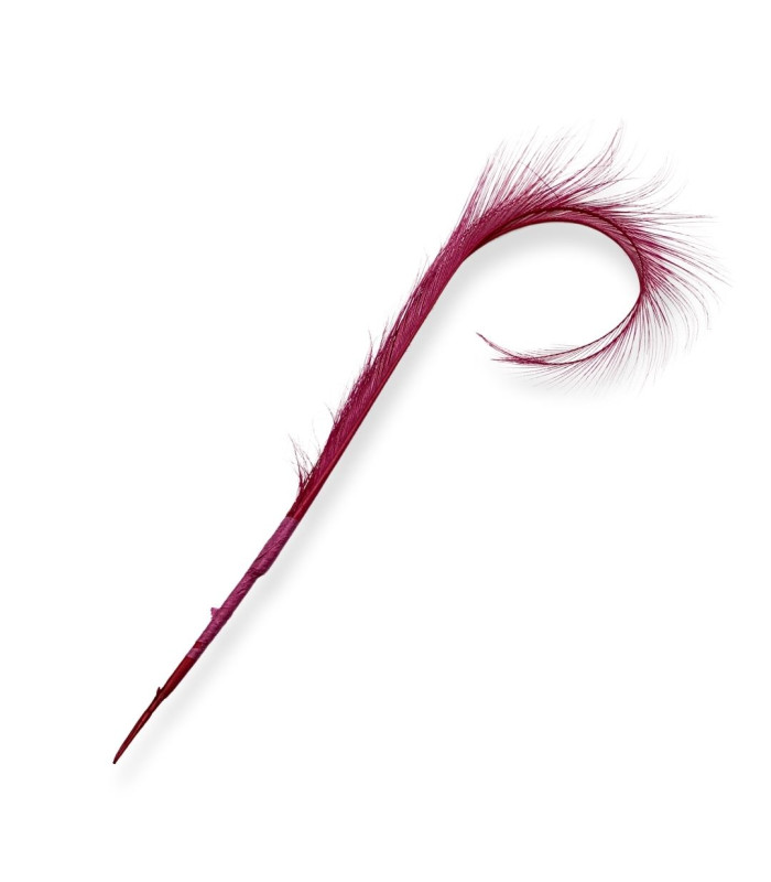 PLUMES D'AUTRUCHE BRÛLÉES - 29CM