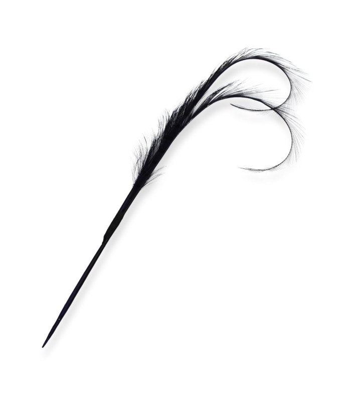 PLUMES D'AUTRUCHE BRÛLÉES - 29CM