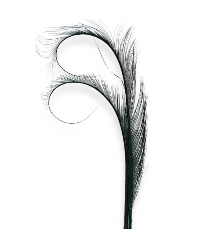 PLUMES D'AUTRUCHE BRÛLÉES - 29CM