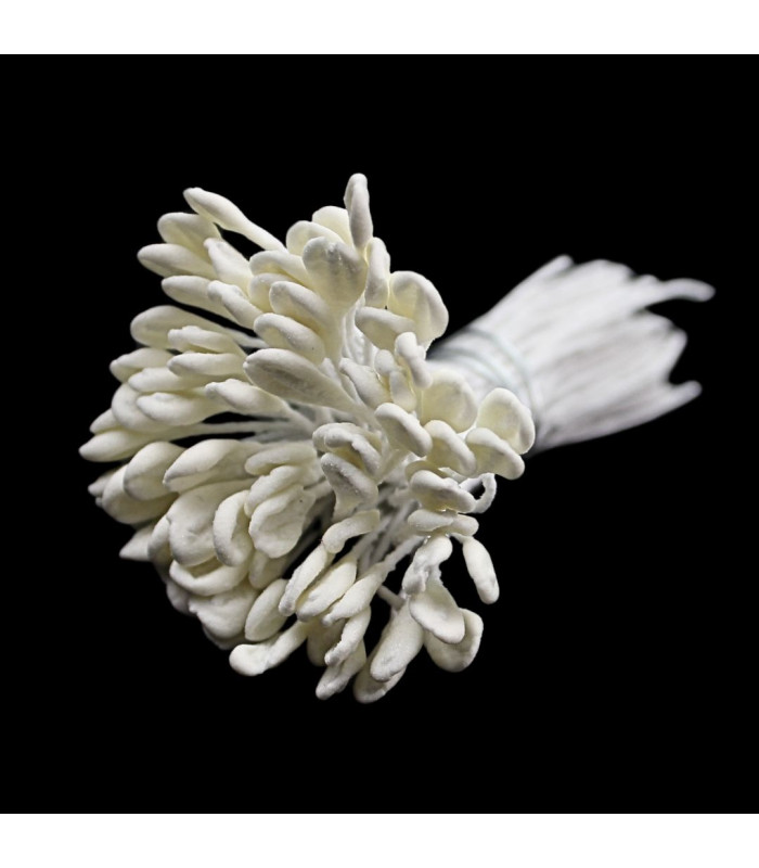 PISTILS REMO – TIGE EN FIL DE FER