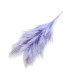 MONTAGE DE PLUMES - COU DE COQ