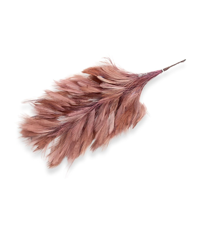 MONTAGE DE PLUMES - COU DE COQ
