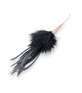 BOUQUET DE PLUMES D'OIE BIOT ET MARABOUT