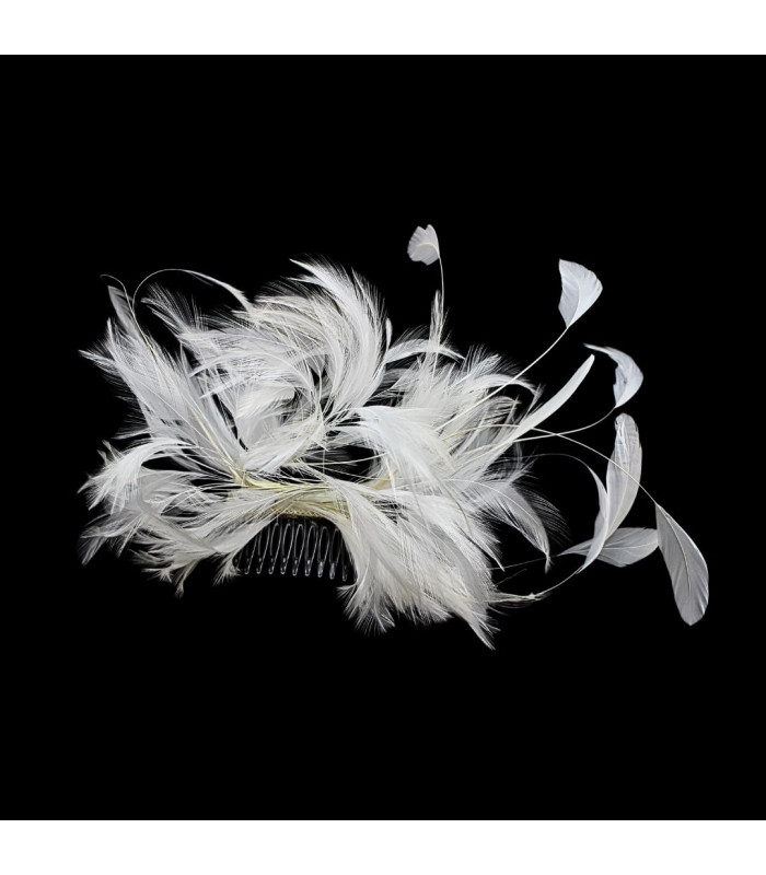 COIFFURE AVEC PLUMES DE COU ET ANTENNES DE COQ