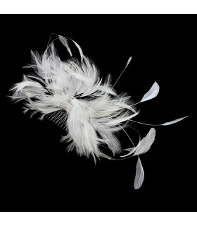 COIFFURE AVEC PLUMES DE COU ET ANTENNES DE COQ