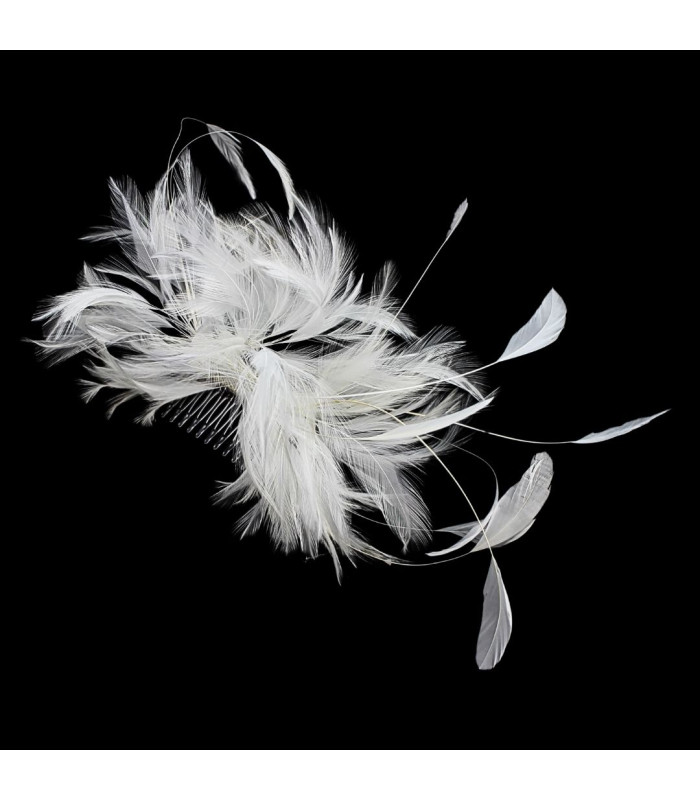 COIFFURE AVEC PLUMES DE COU ET ANTENNES DE COQ