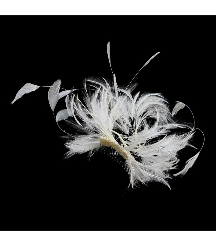 COIFFURE AVEC PLUMES DE COU ET ANTENNES DE COQ
