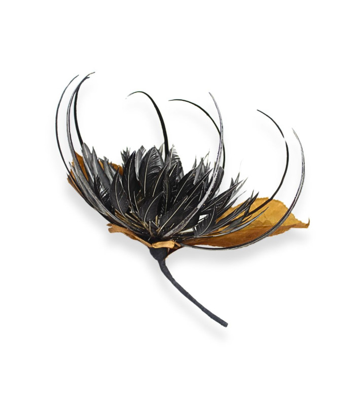 FLEUR DE PLUMES OIE - OIE BIOT