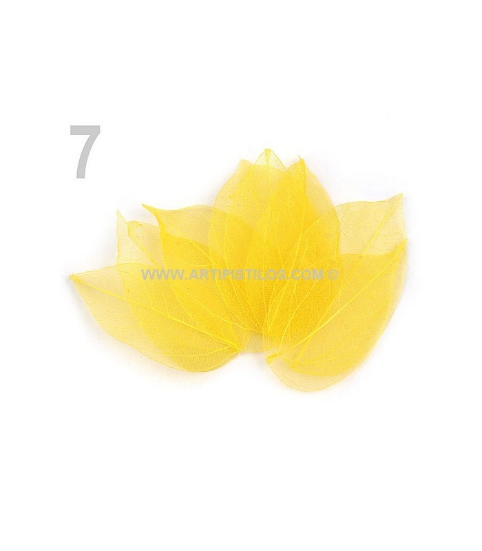SAC DE FEUILLES NATURELLE DECORATIVES