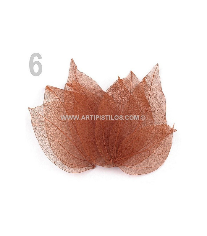 SAC DE FEUILLES NATURELLE DECORATIVES