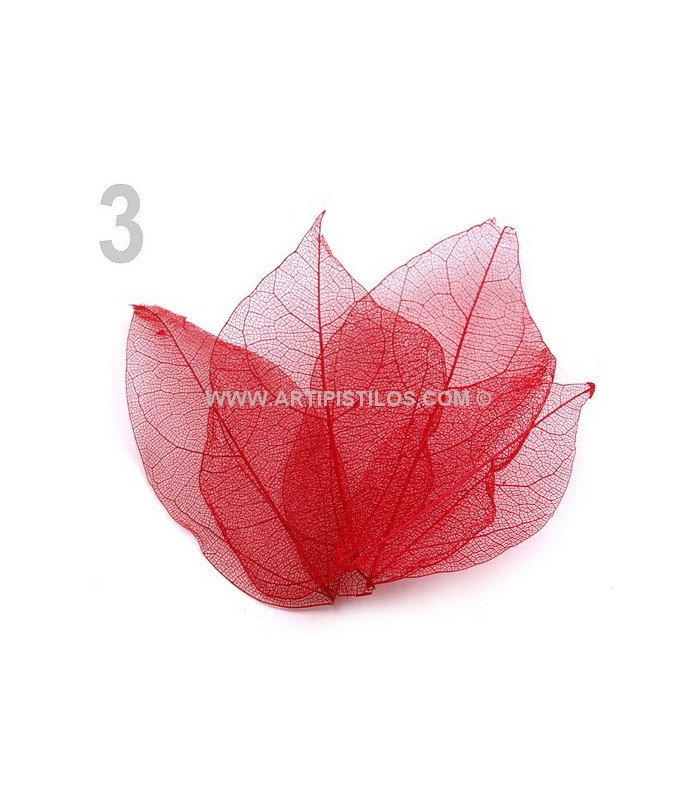 SAC DE FEUILLES NATURELLE DECORATIVES