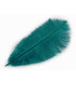 Plume d'autruche d'une longueur approximative de 20-25 cm