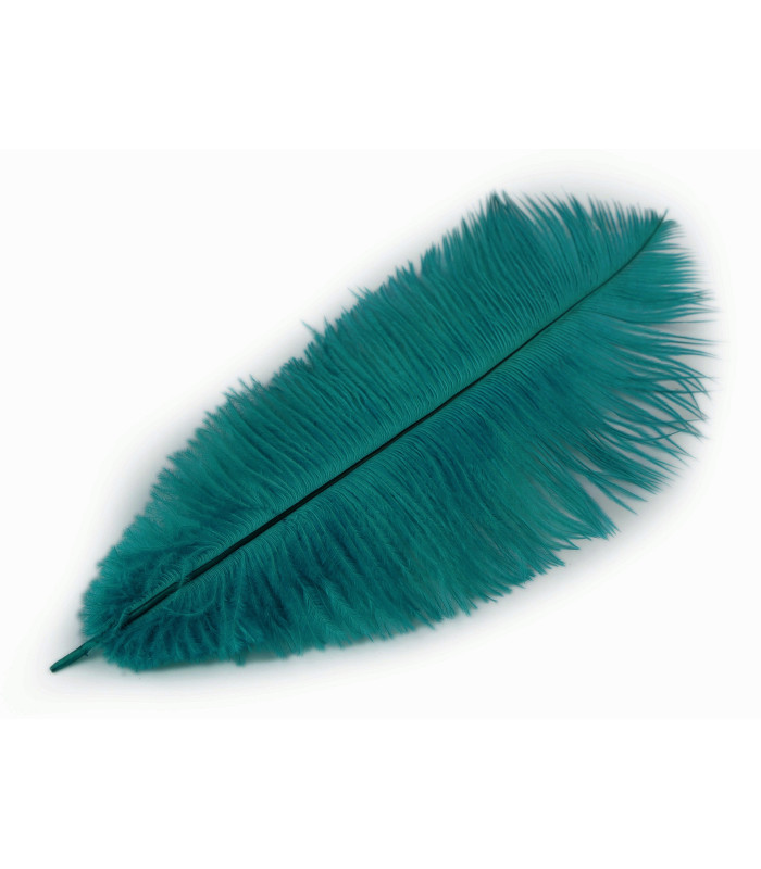 Plume d'autruche d'une longueur approximative de 20-25 cm