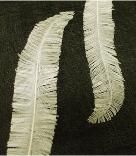 PLUME D´AUTRUCHE 55 - 65 CMS.