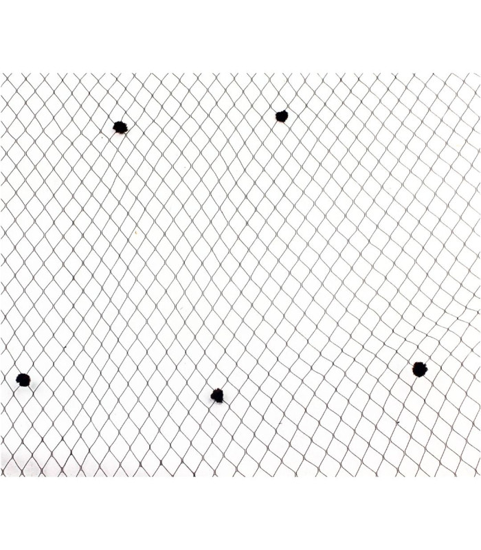 VELO ANCHO SPOT - 45CM DE LARGEUR