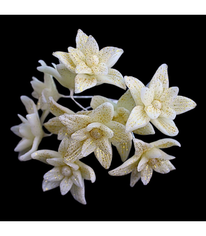 FLEUR DE PORCELAINE FROIDE