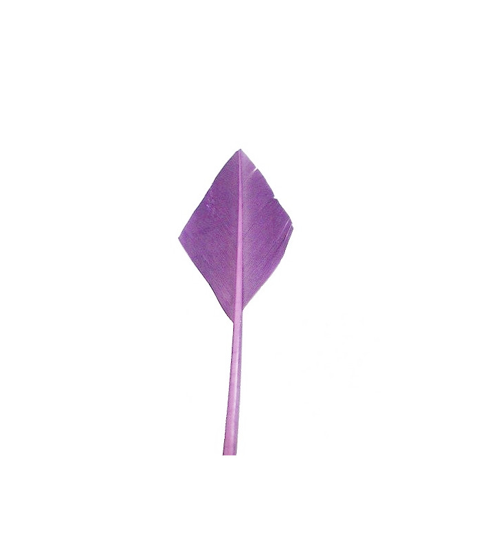 PLUME POINTE DE FLÈCHE 30 CMS.