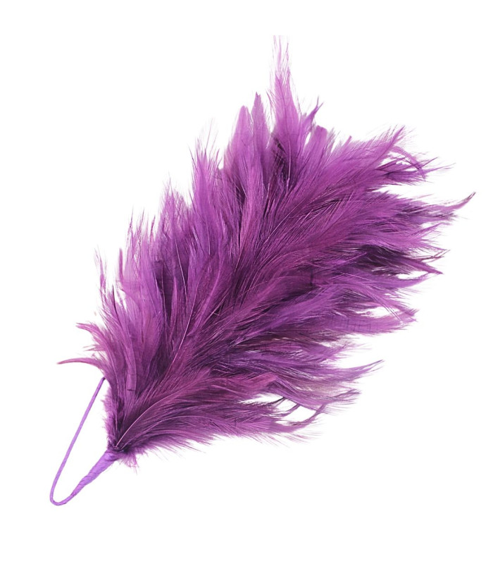 MONTAGE DE PLUMES DE COU DE COQ