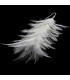 MONTAGE DE PLUMES DE COU DE COQ