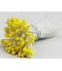 BOUQUET 80 ÉTAMINES BRILLANTES – TIGE EN FIL DE FER