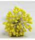 BOUQUET 80 ÉTAMINES BRILLANTES – TIGE EN FIL DE FER