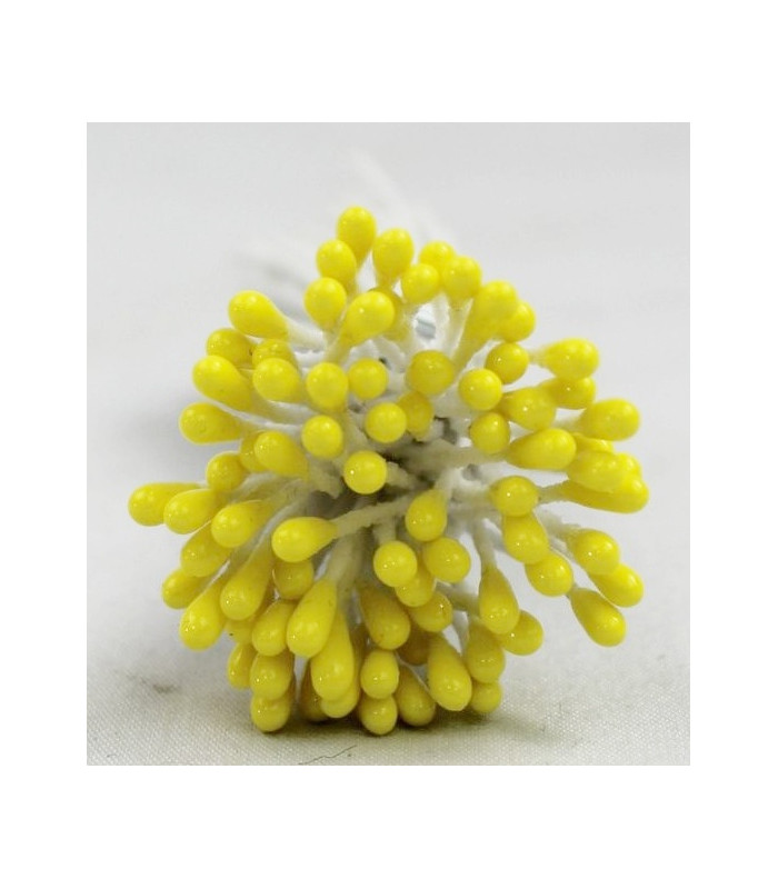 BOUQUET 80 ÉTAMINES BRILLANTES – TIGE EN FIL DE FER