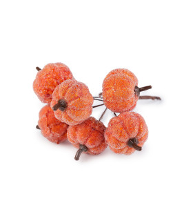 ARTIPISTILOS EN FORME DE CITROUILLES ARTIFICIELLES GIVRÉES AVEC FIL – LOT DE 6 PCS