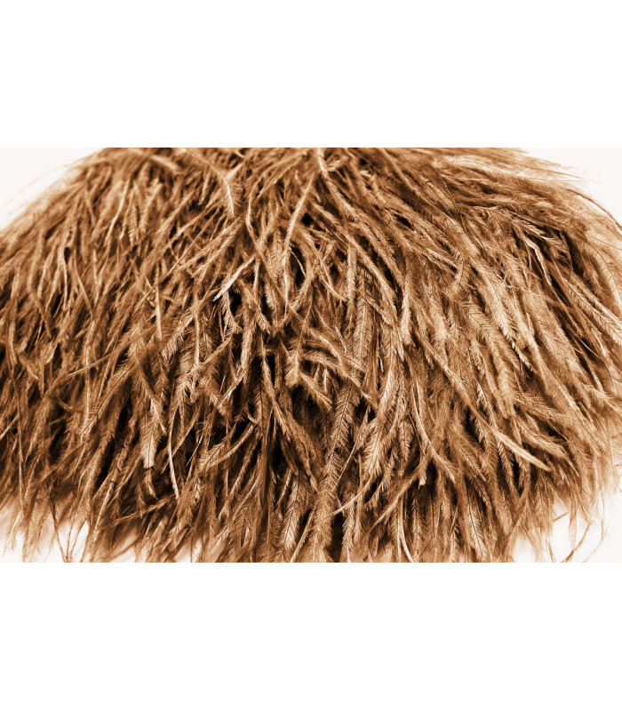 FRANGE PLUMES D´AUTRUCHE - 10 CMS.