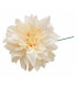DAHLIA EN TISSU “MODOSA”