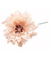 DAHLIA EN TISSU “MODOSA”