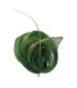 TOQUE JADE